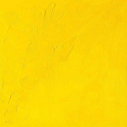 Winsor & Newton Winton Oil Color, 37ml (1.25-oz) Tube, Cadmium Yellow Light