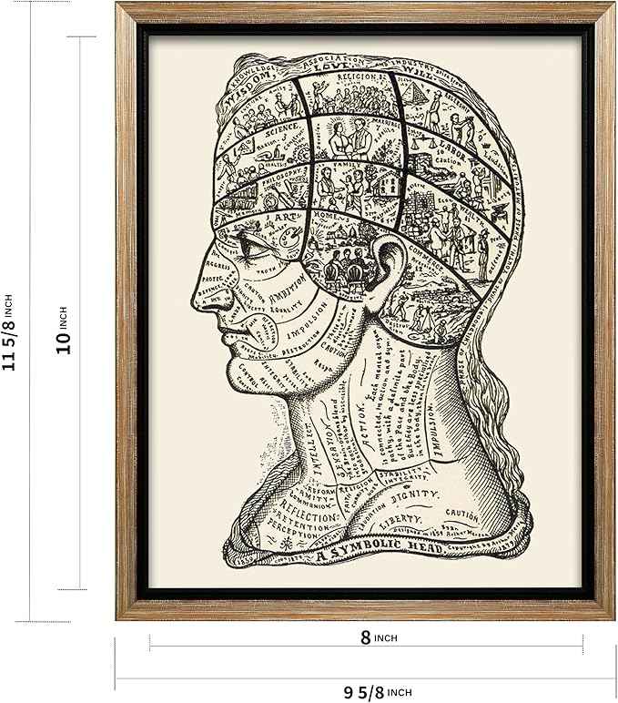Poster Master A Symbolic Head Phrenology Print 1899 - Phrenology Canvas, Fine Art Print of a Scientific or Pseudoscience Academia Medical Illustration - 8x10 Silver Framed Canvas