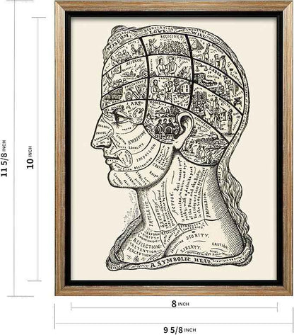 Poster Master A Symbolic Head Phrenology Print 1899 - Phrenology Canvas, Fine Art Print of a Scientific or Pseudoscience Academia Medical Illustration - 8x10 Silver Framed Canvas