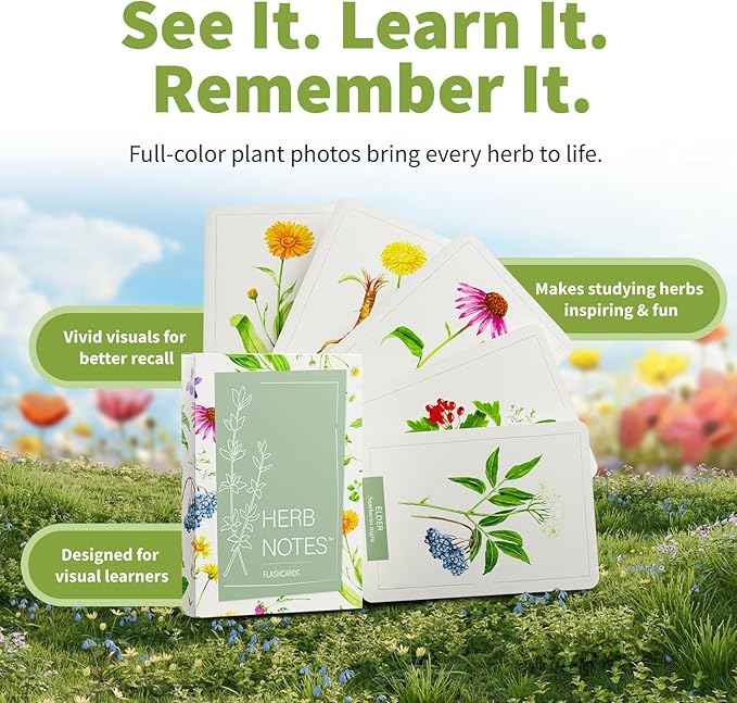 Herb Notes Flash Cards – Educational Plant Learning Cards with Botanical Illustrations – 48-Card Set for Plant Identification, Nature Study & Classroom Learning
