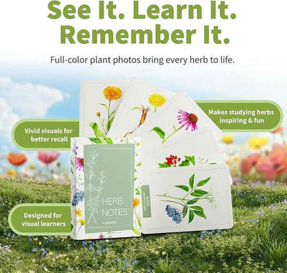 Herb Notes Flash Cards – Educational Plant Learning Cards with Botanical Illustrations – 48-Card Set for Plant Identification, Nature Study & Classroom Learning