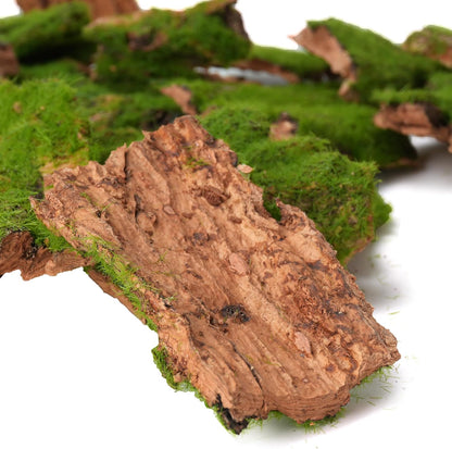 BYHER Assorted Artificial Moss Bark, Decorative Mossy Tree Bark for DIY Crafts, Fairy Gardens, Terrariums, Floral Arrangements (Realistic Green - 100gr) - Crafty Corner