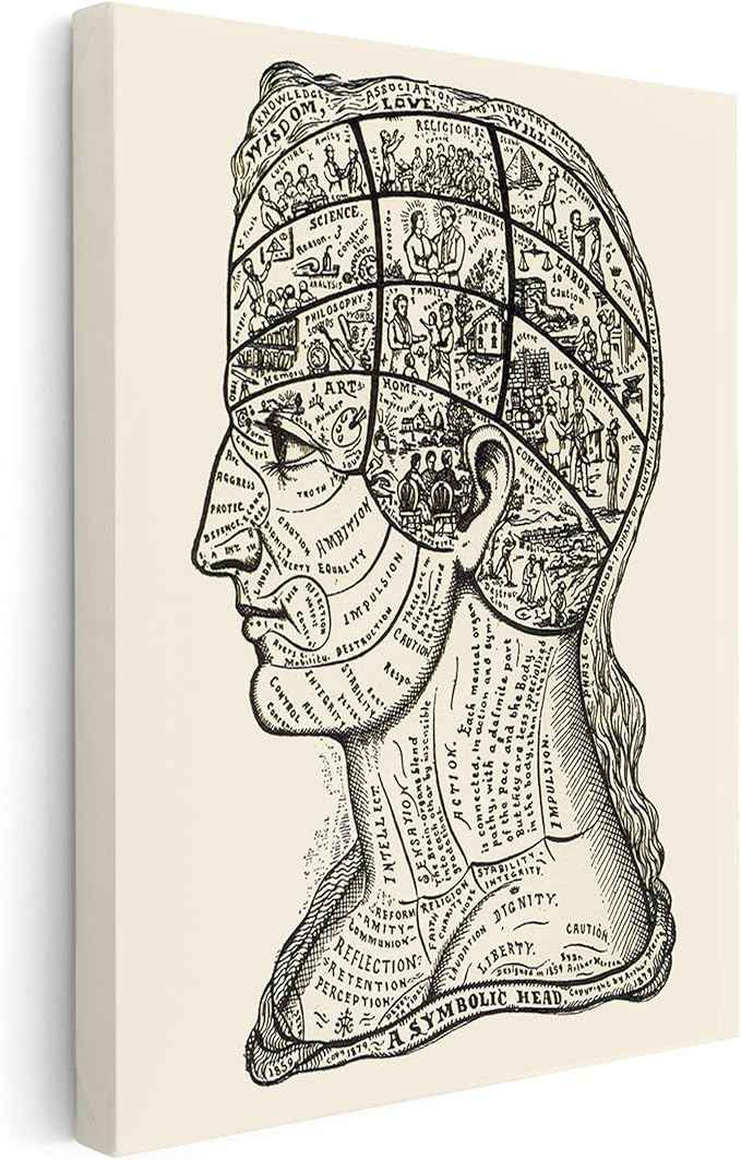 Poster Master A Symbolic Head Phrenology Print 1899 - Phrenology Canvas, Fine Art Print of a Scientific or Pseudoscience Academia Medical Illustration - 24x32 STRETCHED Canvas