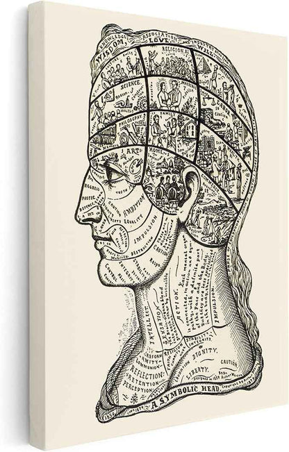 Poster Master A Symbolic Head Phrenology Print 1899 - Phrenology Canvas, Fine Art Print of a Scientific or Pseudoscience Academia Medical Illustration - 24x32 STRETCHED Canvas