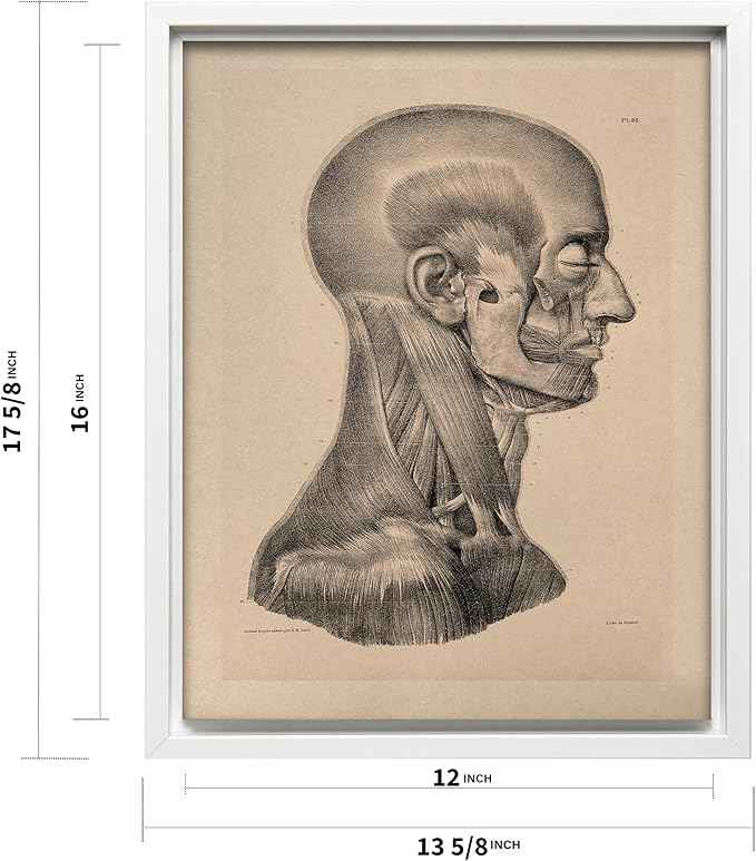 Poster Master Vintage Science Canvas - Retro Muscles of Head And Neck Print - Anatomy Art - Gift for Nurse & Doctor - Wall Decor for Office, Clinic or Hospital - 12x16 White Framed Canvas
