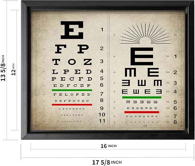 Poster Master Vintage Eye Chart Canvas - Retro Vision Test Print - Medical Art - Gift for Men, Women & Doctor - Optical Wall Decor for Office, Hospital or Clinic - 12x16 Black Framed Canvas