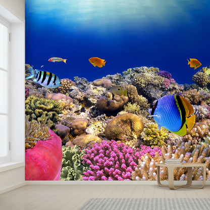 wall26 Wall Sticker/Wall Mural Tropical Blue Fish Coral Reef Ocean Seascape Nature Wilderness, Not Peel and Stick, Non-Woven Wallpaper Decorative for Bedroom, Living Room,Office - 132x144 inches