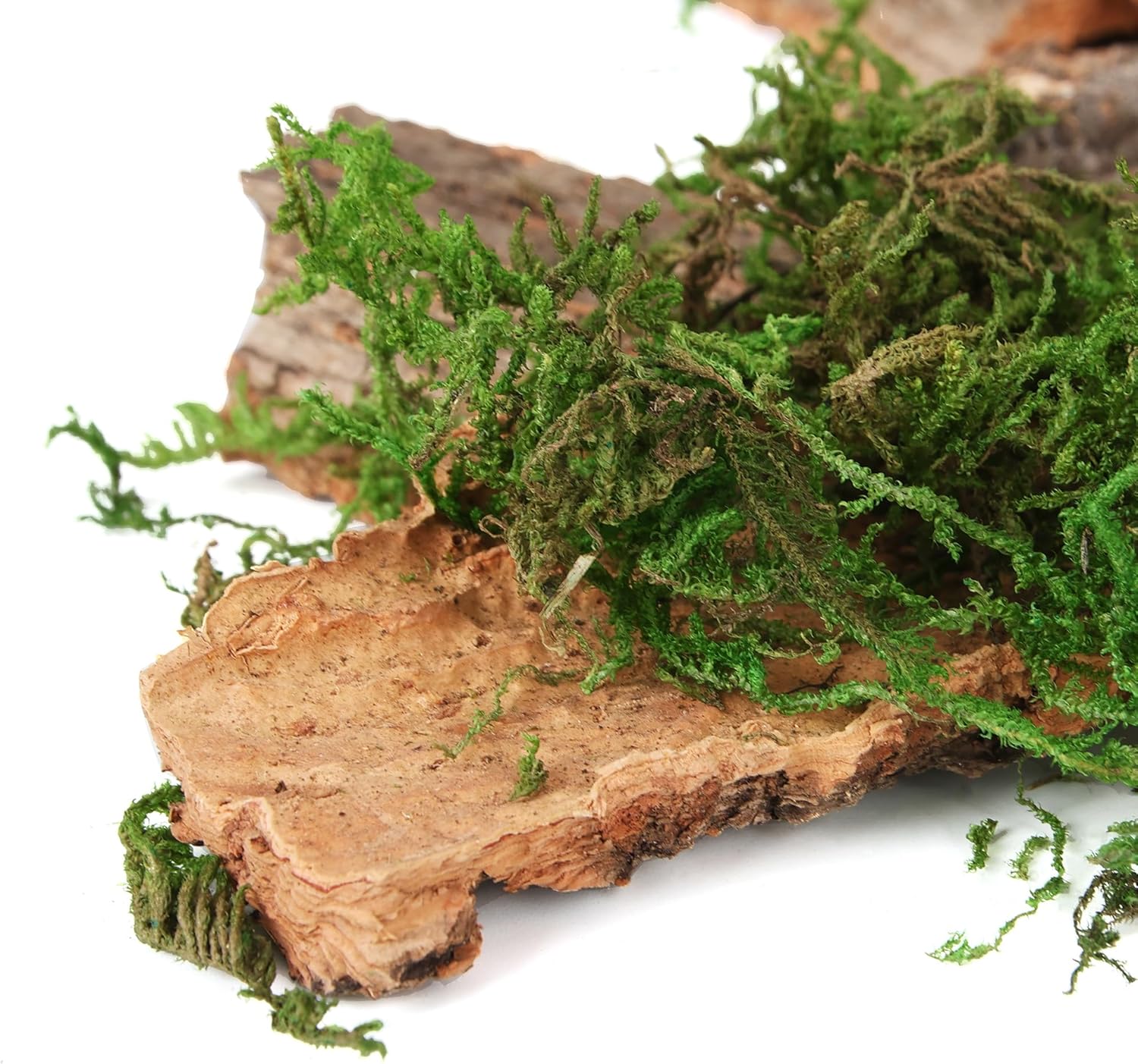 BYHER Fake Moss for Crafts, Assorted Treebark Fairy Garden Accessories Green Moss for Decorating, Tree Bark for Crafts, Terrarium, Floral Arrangements (Forest Green) - Crafty Corner