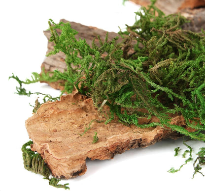 BYHER Fake Moss for Crafts, Assorted Treebark Fairy Garden Accessories Green Moss for Decorating, Tree Bark for Crafts, Terrarium, Floral Arrangements (Forest Green) - Crafty Corner