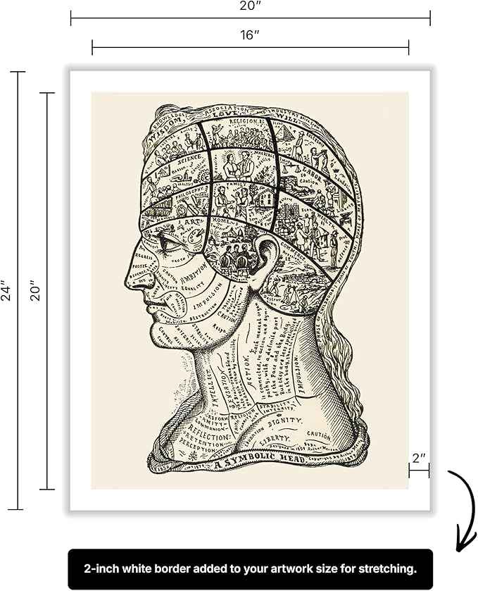 Poster Master A Symbolic Head Phrenology Print 1899 - Phrenology Canvas, Fine Art Print of a Scientific or Pseudoscience Academia Medical Illustration - 16x20 ROLLED Canvas