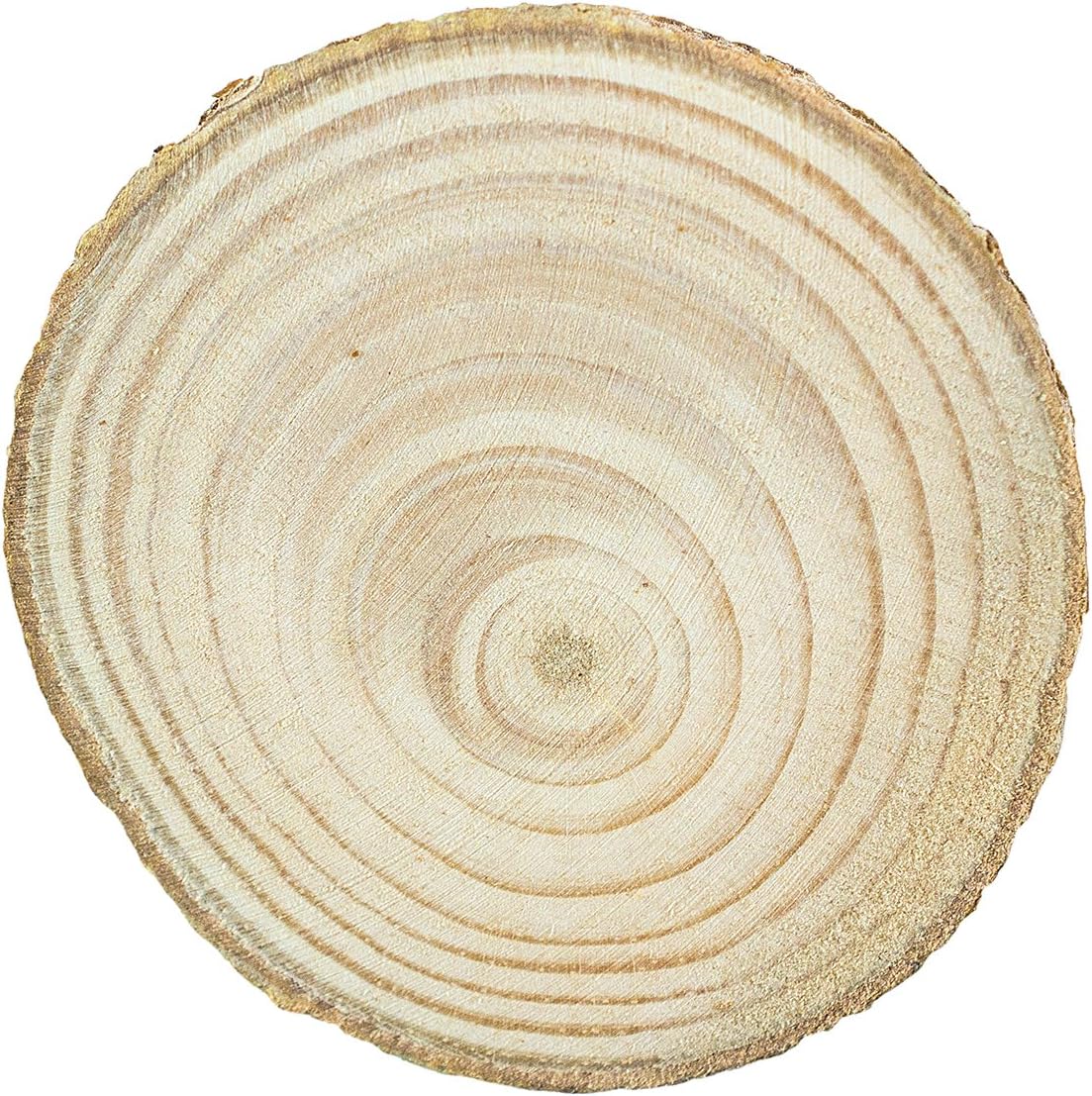 Super Z Outlet Mini Assorted Size Natural Color Tree Bark Wood Slices Round Log Discs for Arts & Crafts, Home Hanging Decorations, Event Ornaments (5-8cm, 20pcs) - Crafty Corner