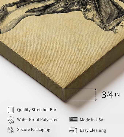 Poster Master Human Skull Canvas - Retro Medical Print - Anatomy Art - Cross Section Art - Gift for Physician, Doctor & Nurse - Decor for Office, Hospital or Clinic - 16x20 STRETCHED Canvas