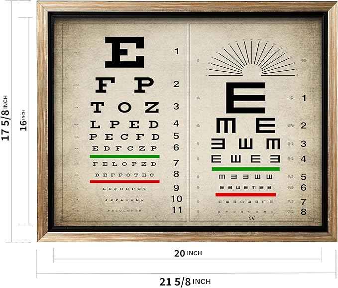 Poster Master Vintage Eye Chart Canvas - Retro Vision Test Print - Medical Art - Gift for Men, Women & Doctor - Optical Wall Decor for Office, Hospital or Clinic - 16x20 Silver Framed Canvas