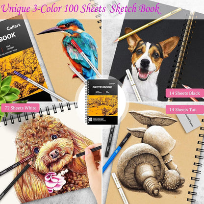 Caliart 176PCS Art Supplies Sketching Kit with 100 Sheets 3-Color Sketch Book, Graphite Colored Charcoal Watercolor & Metallic Pencils, Drawing Supplies Christmas Gifts for Artists Adults Beginners