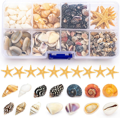 Premium Tiny Seashell Mix, Including Sea Shells, Sea Snails and Starfish Total 300+PCS (8 Kinds), Shells for Crafts Decorating Resin and Mosaics Projects DIY Crafts Home Decor Beach Themed Party