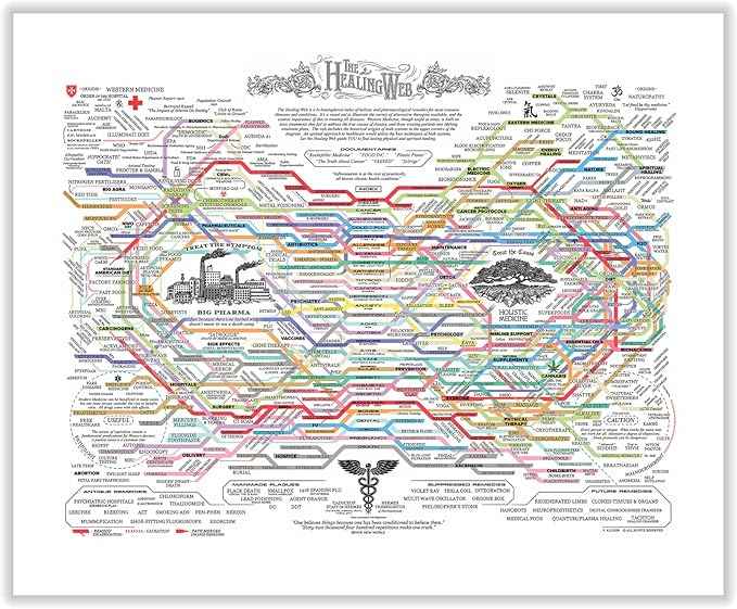 Poster Master The Healing Web Canvas - Health Diagram Print - Therapy Art - Holistic Wall Design - Pharmacological Remedy Art - Great Living Room or Office Decor - 24x32 ROLLED Canvas