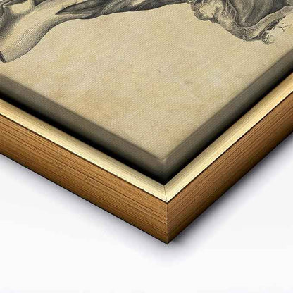 Poster Master Human Skull Canvas - Retro Medical Print - Anatomy Art - Cross Section Art - Gift for Physician, Doctor & Nurse - Decor for Office, Hospital or Clinic - 24x32 Gold Framed Canvas