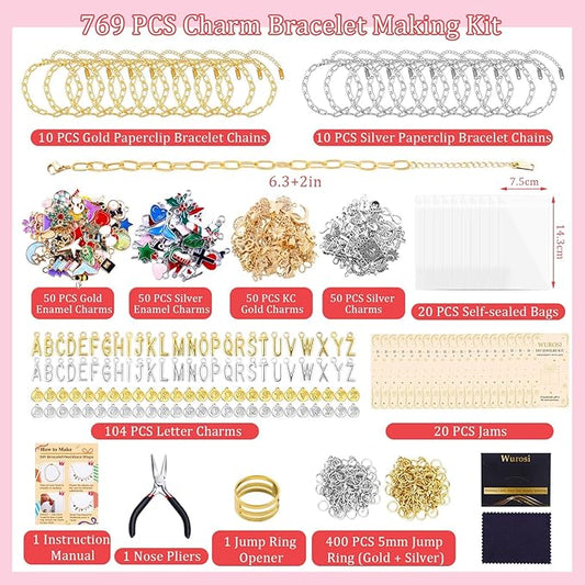 Wurosi 769 Pieces Paperclip Charm Bracelet Kit, Including Paperclip Chain Bracelets, Charms, Jump Rings, Gift Bags, Pliers for DIY Bracelet Making Gift Christmas