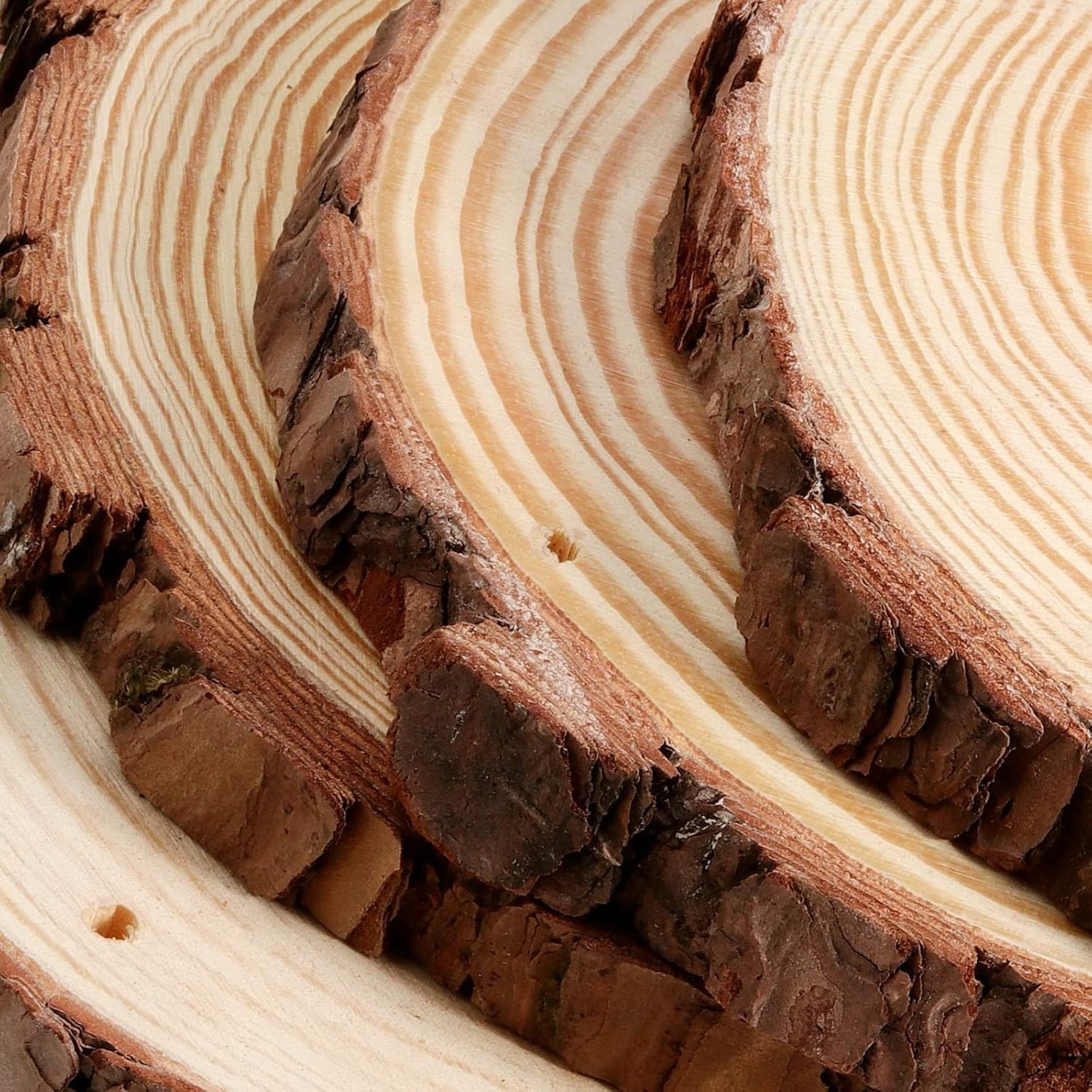 JEUIHAU 10 PCS 6.7-7 Inches Natural Wood Slices with Holes, Unfinished Predrilled Wooden Circles Tree Bark Slice, Blank Wooden Log Circles for DIY Crafts, Arts Wood Slices, Christmas Ornaments - Crafty Corner