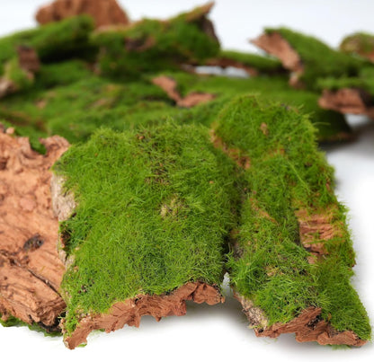 BYHER Assorted Artificial Moss Bark, Decorative Mossy Tree Bark for DIY Crafts, Fairy Gardens, Terrariums, Floral Arrangements (Realistic Green - 100gr) - Crafty Corner