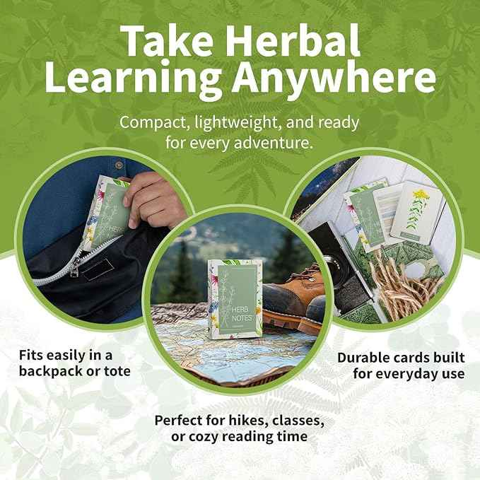 Herb Notes Flash Cards – Educational Plant Learning Cards with Botanical Illustrations – 48-Card Set for Plant Identification, Nature Study & Classroom Learning