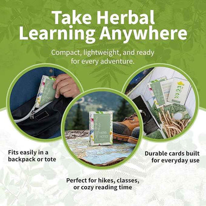 Herb Notes Flash Cards – Educational Plant Learning Cards with Botanical Illustrations – 48-Card Set for Plant Identification, Nature Study & Classroom Learning