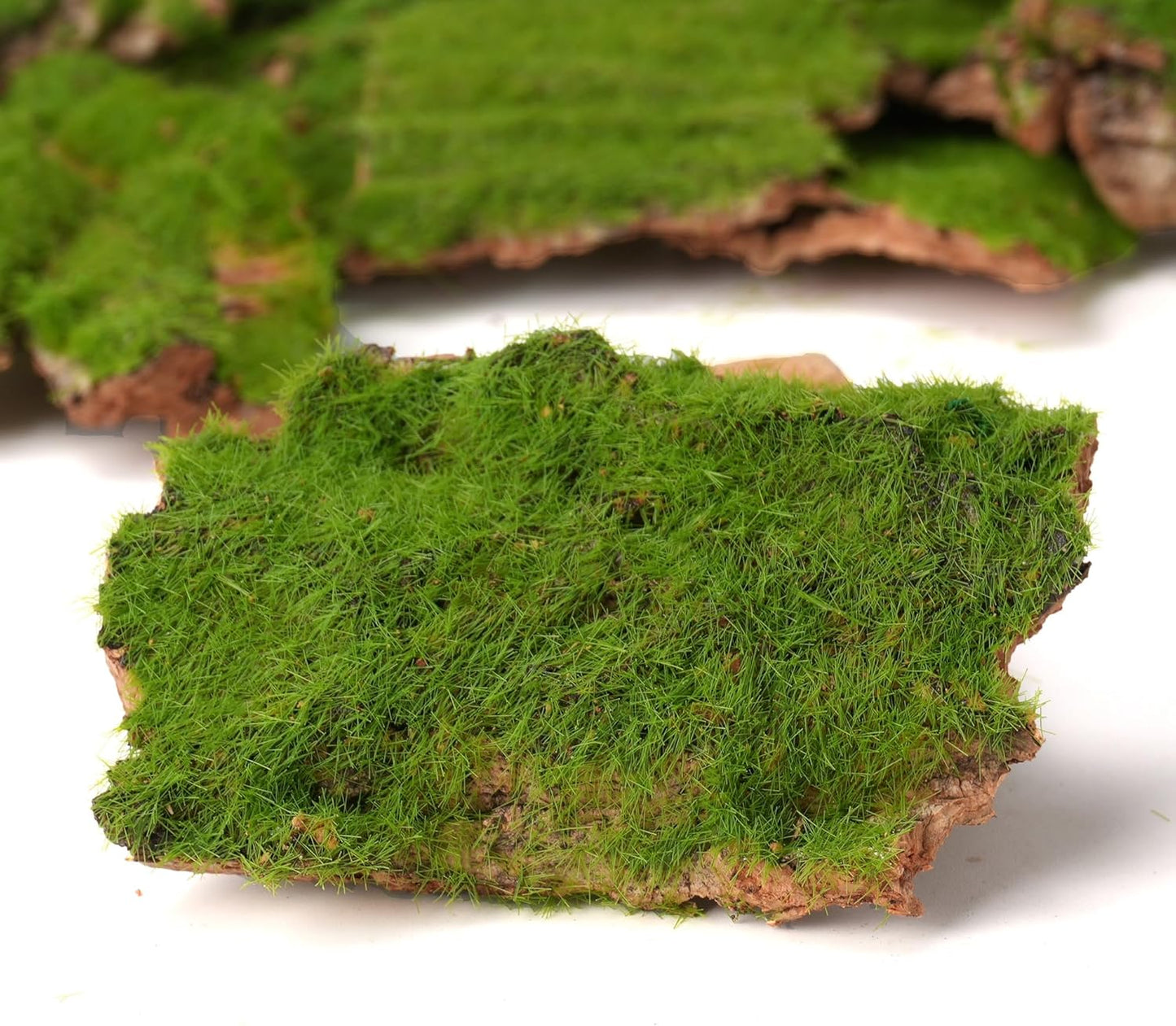 BYHER Assorted Artificial Moss Bark, Decorative Mossy Tree Bark for DIY Crafts, Fairy Gardens, Terrariums, Floral Arrangements (Realistic Green - 100gr) - Crafty Corner