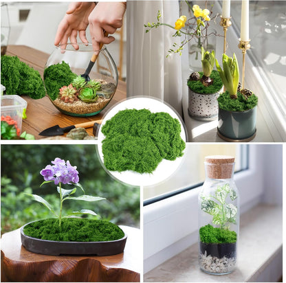 Draupnir Fake Green Moss for Potted Plants, 10.6OZ Fake Moss for Plants Indoor,Faux Moss for Crafts Artificial Moss Decor, DIY Decorative Moss for Fairy Garden Glass Containers Wedding (300g) - Crafty Corner