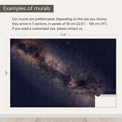 AFZEVEB-Galaxy Stars Wallpaper Wall murals for Ceiling 114"x74"(Not Peel and Stick)