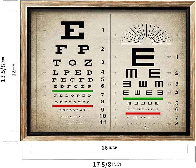 Poster Master Vintage Eye Chart Canvas - Retro Vision Test Print - Medical Art - Gift for Men, Women & Doctor - Optical Wall Decor for Office, Hospital or Clinic - 12x16 Silver Framed Canvas
