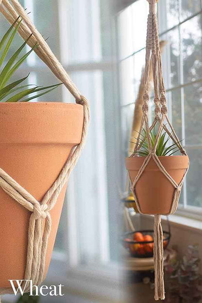 Aesthetic Creative Macrame Kit, Makes 3 DIY Plant Hangers for Teens & Adult Beginners, Craft Supplies for Boho Art Project-3 Custom Color Macrame Cord, Wooden Rings & Instructions