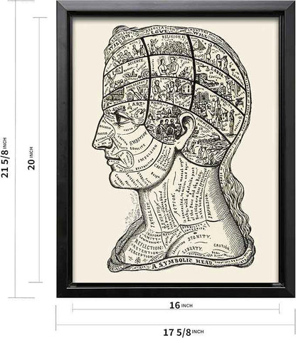 Poster Master A Symbolic Head Phrenology Print 1899 - Phrenology Canvas, Fine Art Print of a Scientific or Pseudoscience Academia Medical Illustration - 16x20 Black Framed Canvas