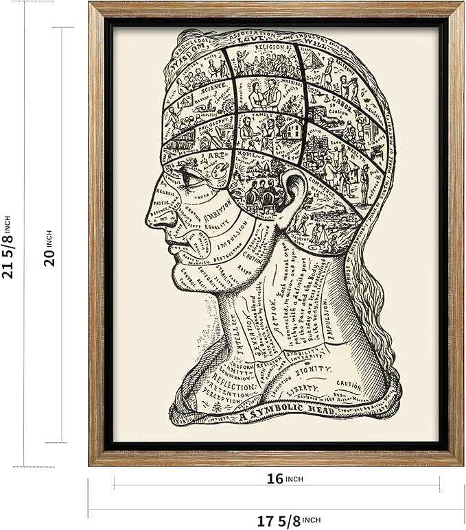 Poster Master A Symbolic Head Phrenology Print 1899 - Phrenology Canvas, Fine Art Print of a Scientific or Pseudoscience Academia Medical Illustration - 16x20 Silver Framed Canvas