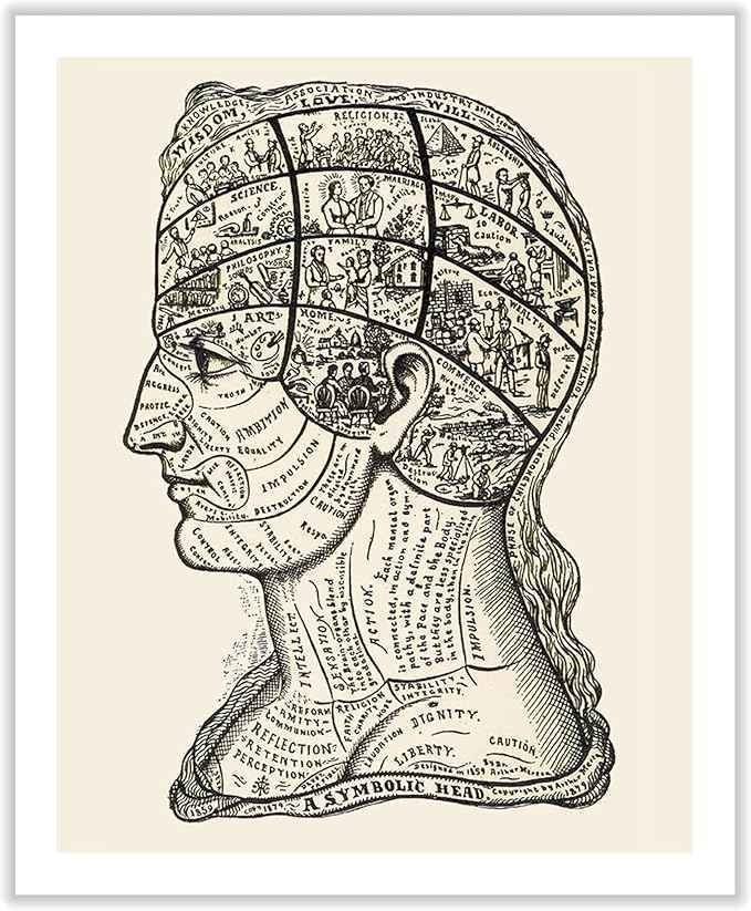 Poster Master A Symbolic Head Phrenology Print 1899 - Phrenology Canvas, Fine Art Print of a Scientific or Pseudoscience Academia Medical Illustration - 8x10 ROLLED Canvas