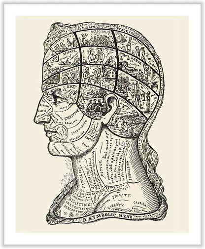 Poster Master A Symbolic Head Phrenology Print 1899 - Phrenology Canvas, Fine Art Print of a Scientific or Pseudoscience Academia Medical Illustration - 16x20 ROLLED Canvas