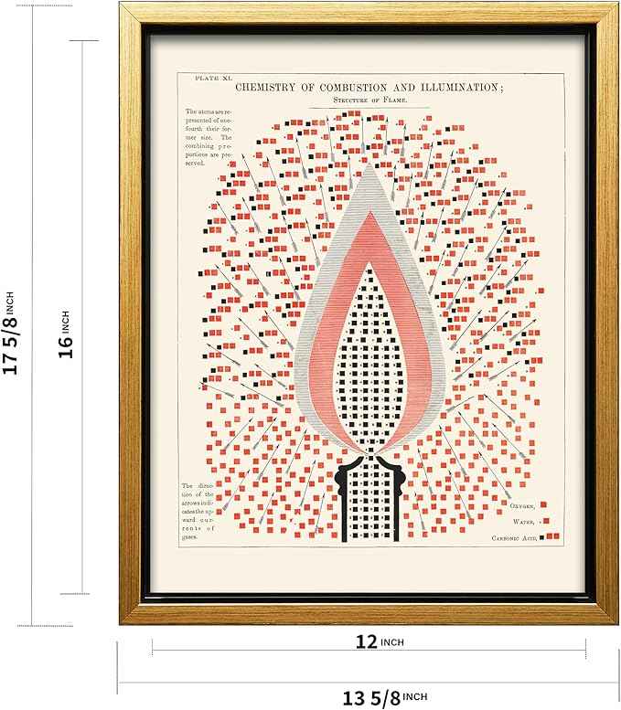 Poster Master Chemistry of Combustion and Illumination Canvas - Science Print - Structure of Flame Art - Gift for Student & Teacher - Decor for Classroom, Laboratory or Dorm - 12x16 Gold Framed Canvas