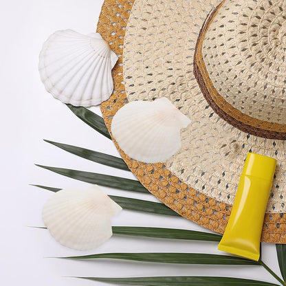GLEAVI Scallop Shells for Crafts: 21pcs Natural Scallop Shells Bulk 3.14 Inch Sea Shell Decoration for Ocean Themed Parties and Home Decor