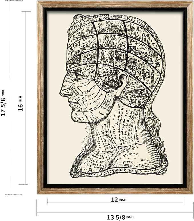 Poster Master A Symbolic Head Phrenology Print 1899 - Phrenology Canvas, Fine Art Print of a Scientific or Pseudoscience Academia Medical Illustration - 12x16 Silver Framed Canvas