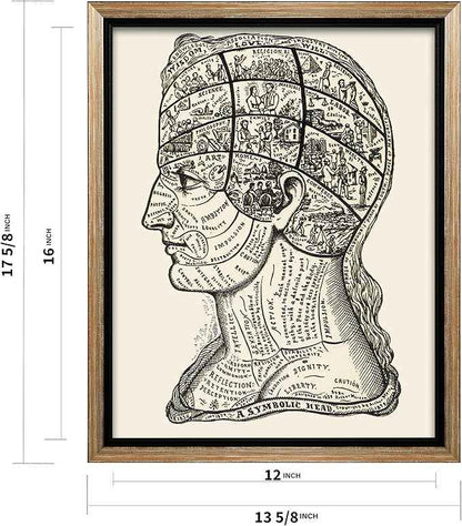 Poster Master A Symbolic Head Phrenology Print 1899 - Phrenology Canvas, Fine Art Print of a Scientific or Pseudoscience Academia Medical Illustration - 12x16 Silver Framed Canvas