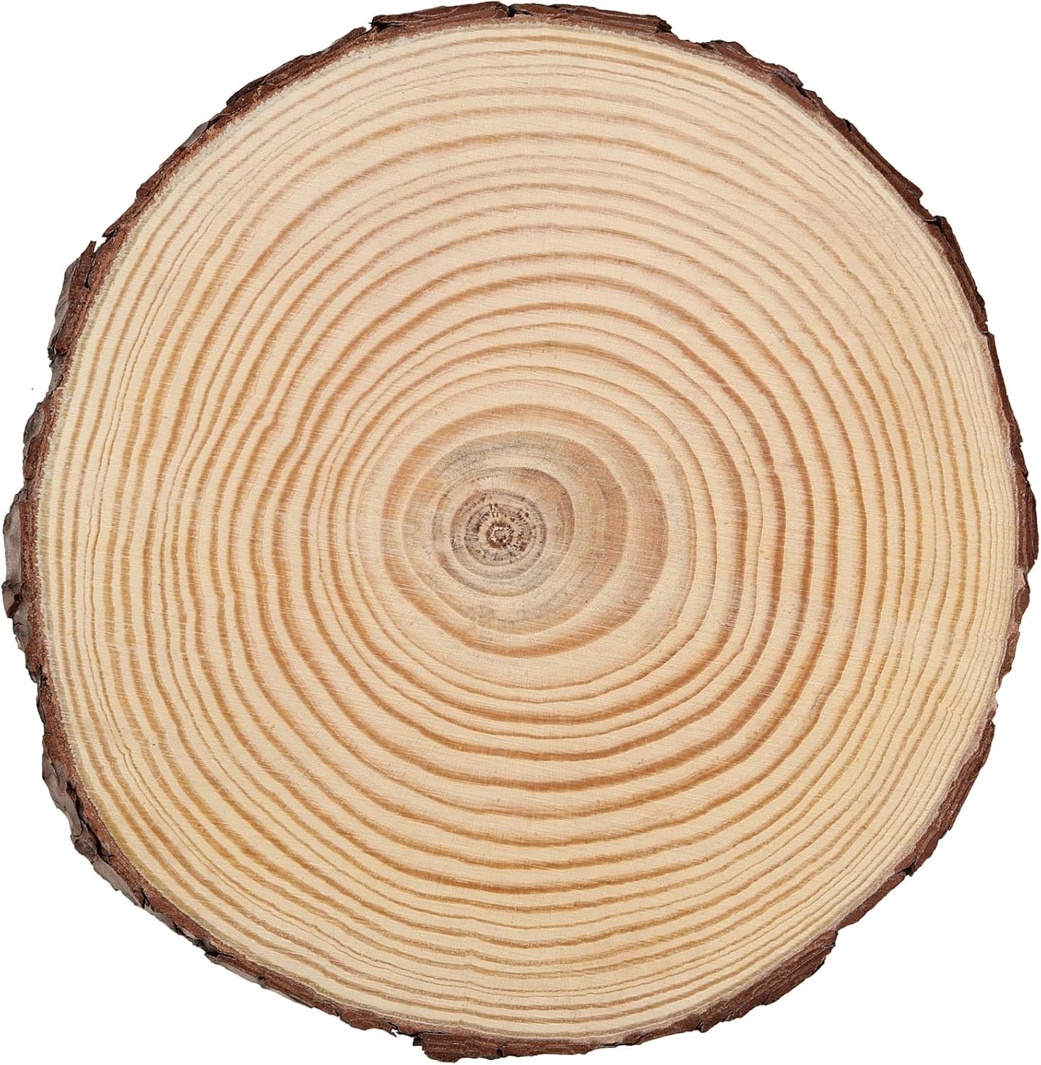 JEUIHAU 8 PCS 8-9 Inches Natural Wood Slices, Unfinished Predrilled Wooden Circles Tree Bark Slice, Blank Wooden Log Circles for DIY Crafts, Arts Wood Slices, Christmas Ornaments - Crafty Corner
