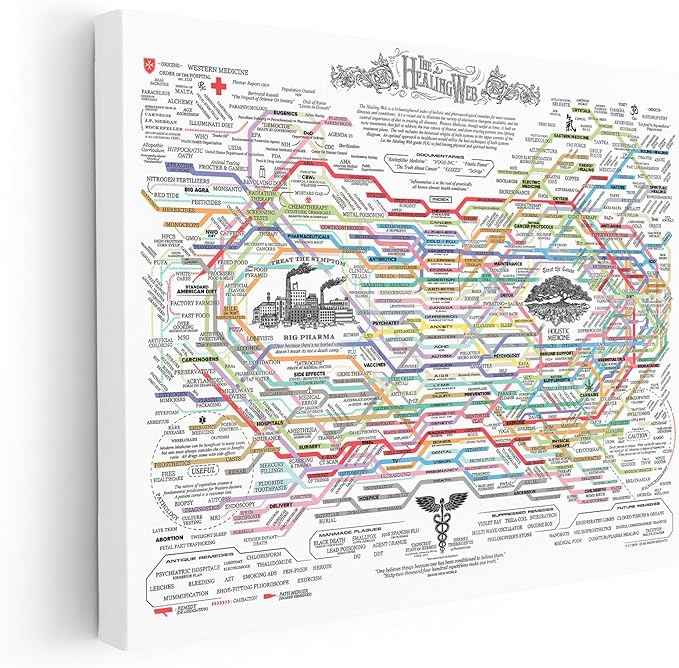 Poster Master The Healing Web Canvas - Health Diagram Print - Therapy Art - Holistic Wall Design - Pharmacological Remedy Art - Great Living Room or Office Decor - 18x24 STRETCHED Canvas