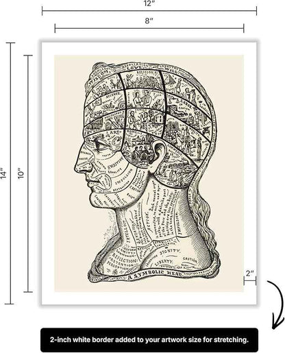 Poster Master A Symbolic Head Phrenology Print 1899 - Phrenology Canvas, Fine Art Print of a Scientific or Pseudoscience Academia Medical Illustration - 8x10 ROLLED Canvas