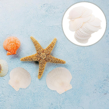 GLEAVI Scallop Shells for Crafts: 21pcs Natural Scallop Shells Bulk 3.14 Inch Sea Shell Decoration for Ocean Themed Parties and Home Decor