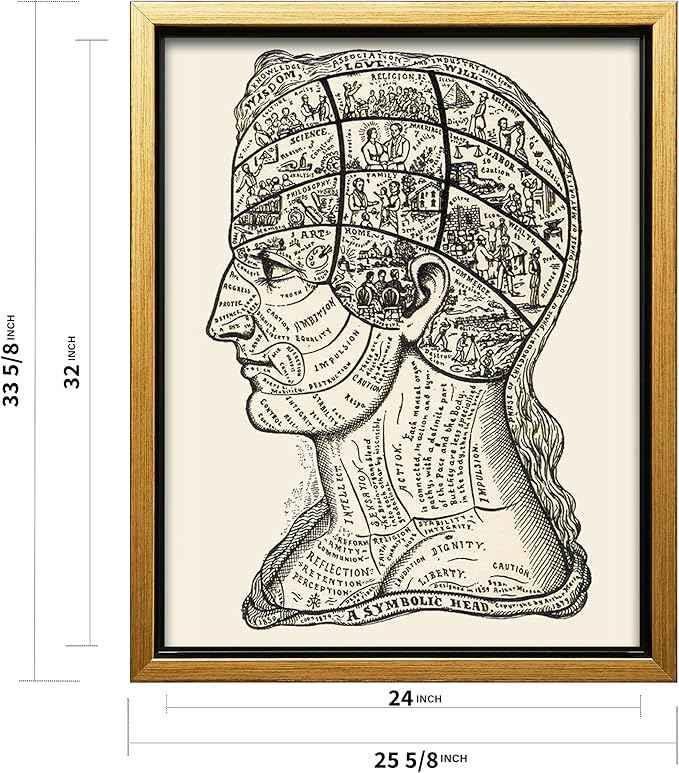 Poster Master A Symbolic Head Phrenology Print 1899 - Phrenology Canvas, Fine Art Print of a Scientific or Pseudoscience Academia Medical Illustration - 24x32 Gold Framed Canvas