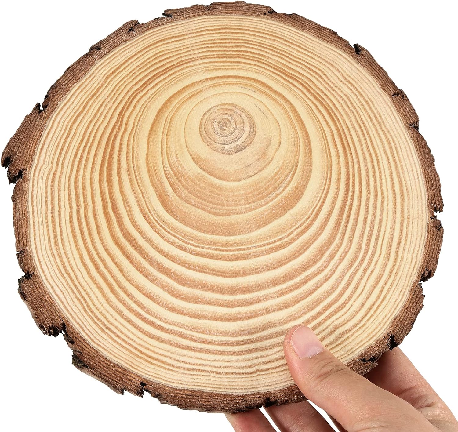 JEUIHAU 6 PCS 8-10 Inches Natural Unfinished Wood Slices, Round Wooden Tree Bark Discs, Wooden Circles for DIY Crafts, Christmas, Rustic Wedding Ornaments - Crafty Corner