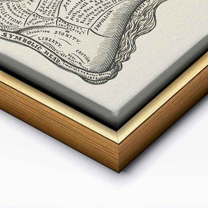 Poster Master A Symbolic Head Phrenology Print 1899 - Phrenology Canvas, Fine Art Print of a Scientific or Pseudoscience Academia Medical Illustration - 24x32 Gold Framed Canvas