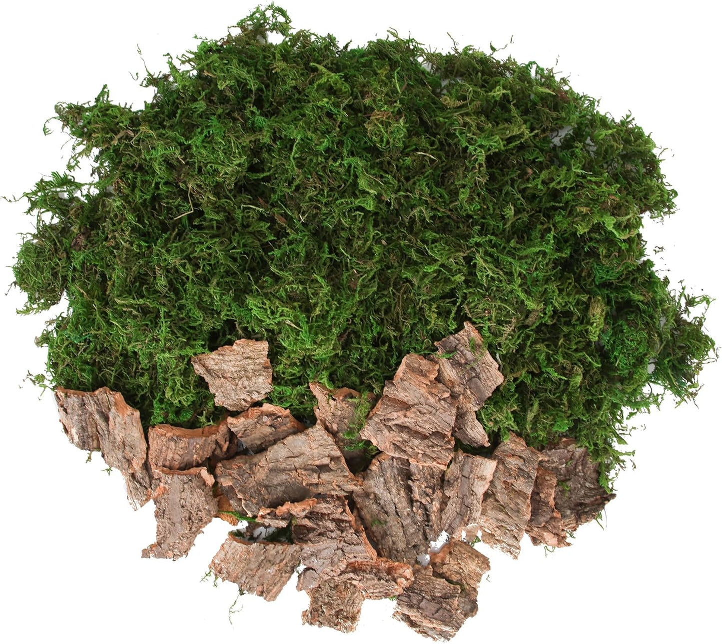 BYHER Fake Moss for Crafts, Assorted Treebark Fairy Garden Accessories Green Moss for Decorating, Tree Bark for Crafts, Terrarium, Floral Arrangements (Forest Green) - Crafty Corner