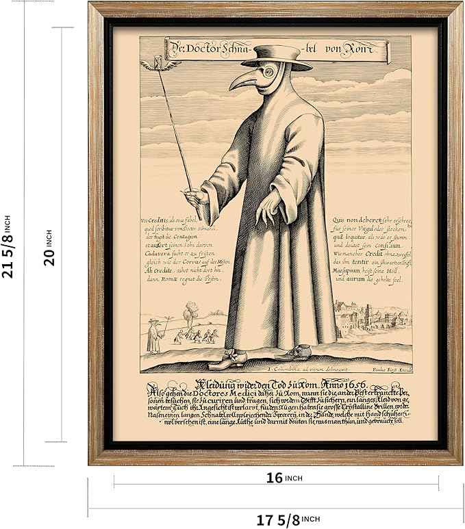 Poster Master Doctor Schnabel from Rome Canvas - Retro Plague Doctor Print - Medieval Art - Gift for Men & Women - Great Wall Decor for Dorm, Living Room or Bedroom - 16x20 Silver Framed Canvas