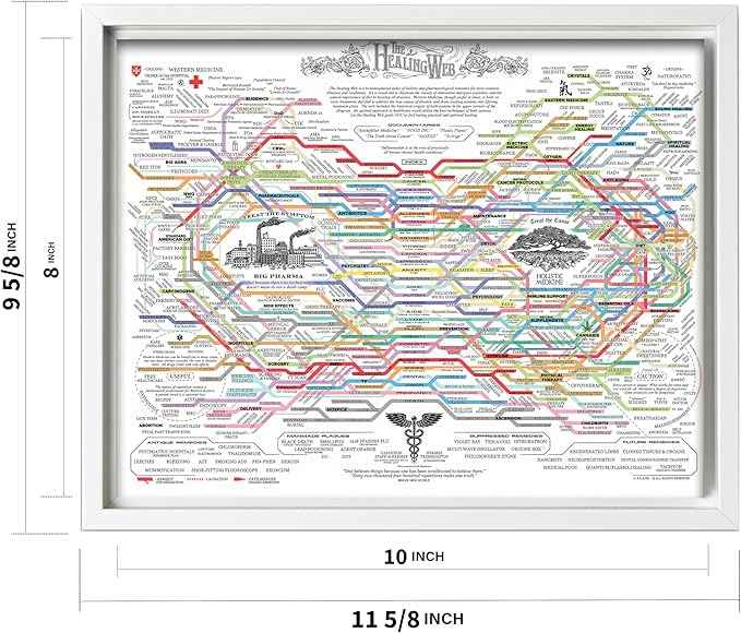 Poster Master The Healing Web Canvas - Health Diagram Print - Therapy Art - Holistic Wall Design - Pharmacological Remedy Art - Great Living Room or Office Decor - 8x10 White Framed Canvas
