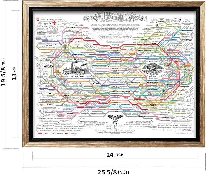 Poster Master The Healing Web Canvas - Health Diagram Print - Therapy Art - Holistic Wall Design - Pharmacological Remedy Art - Great Living Room or Office Decor - 18x24 Silver Framed Canvas